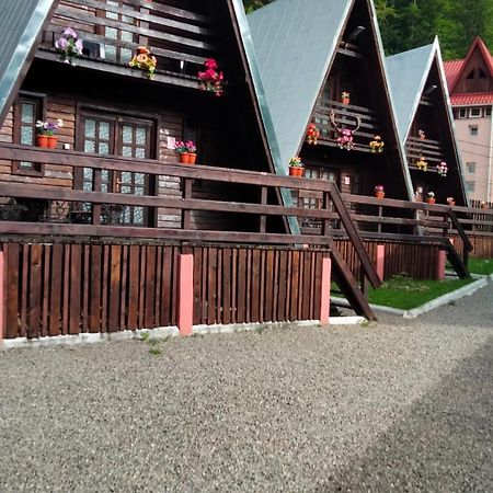 Cabane Синая Екстериор снимка