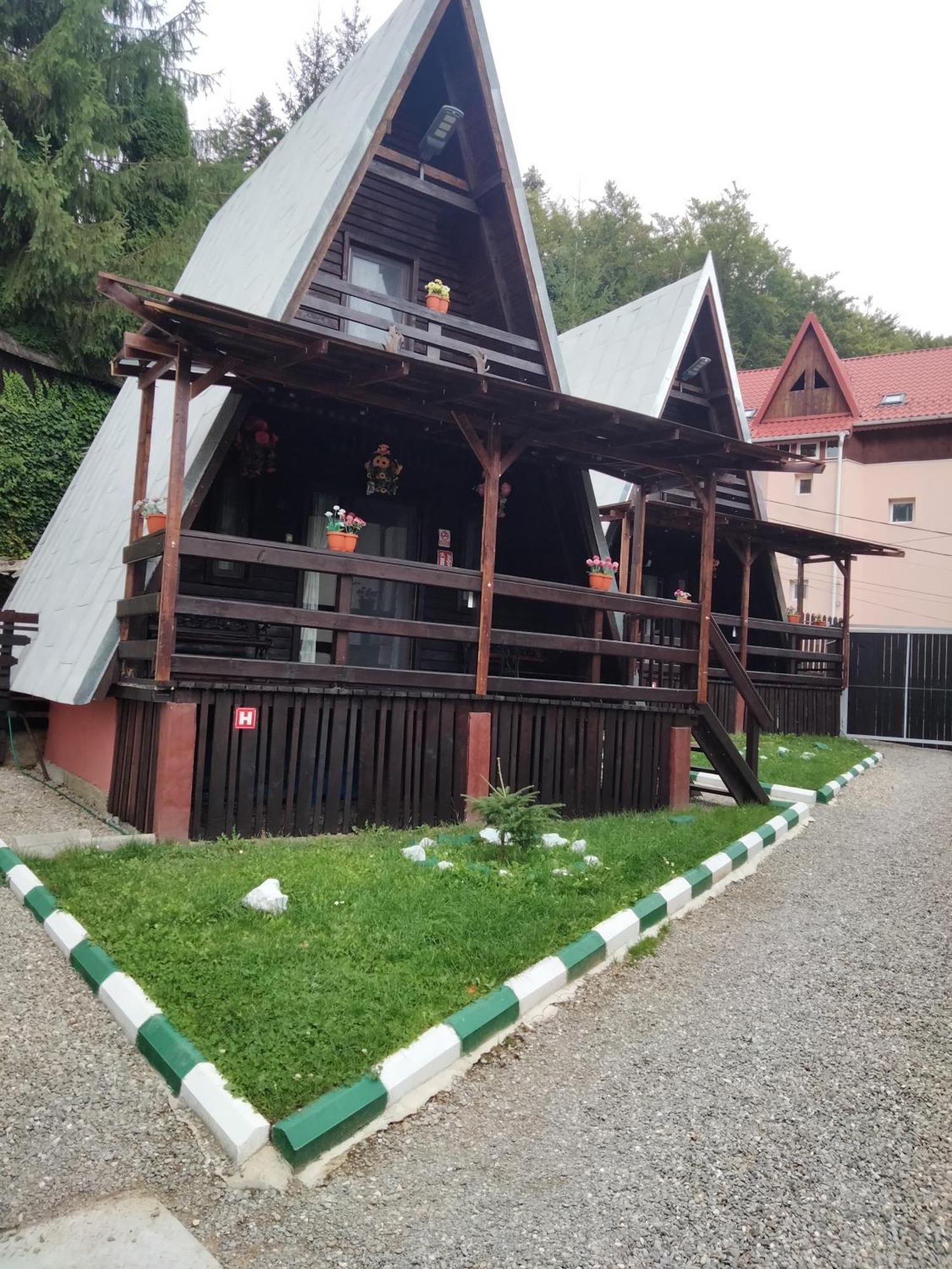 Cabane Синая Екстериор снимка